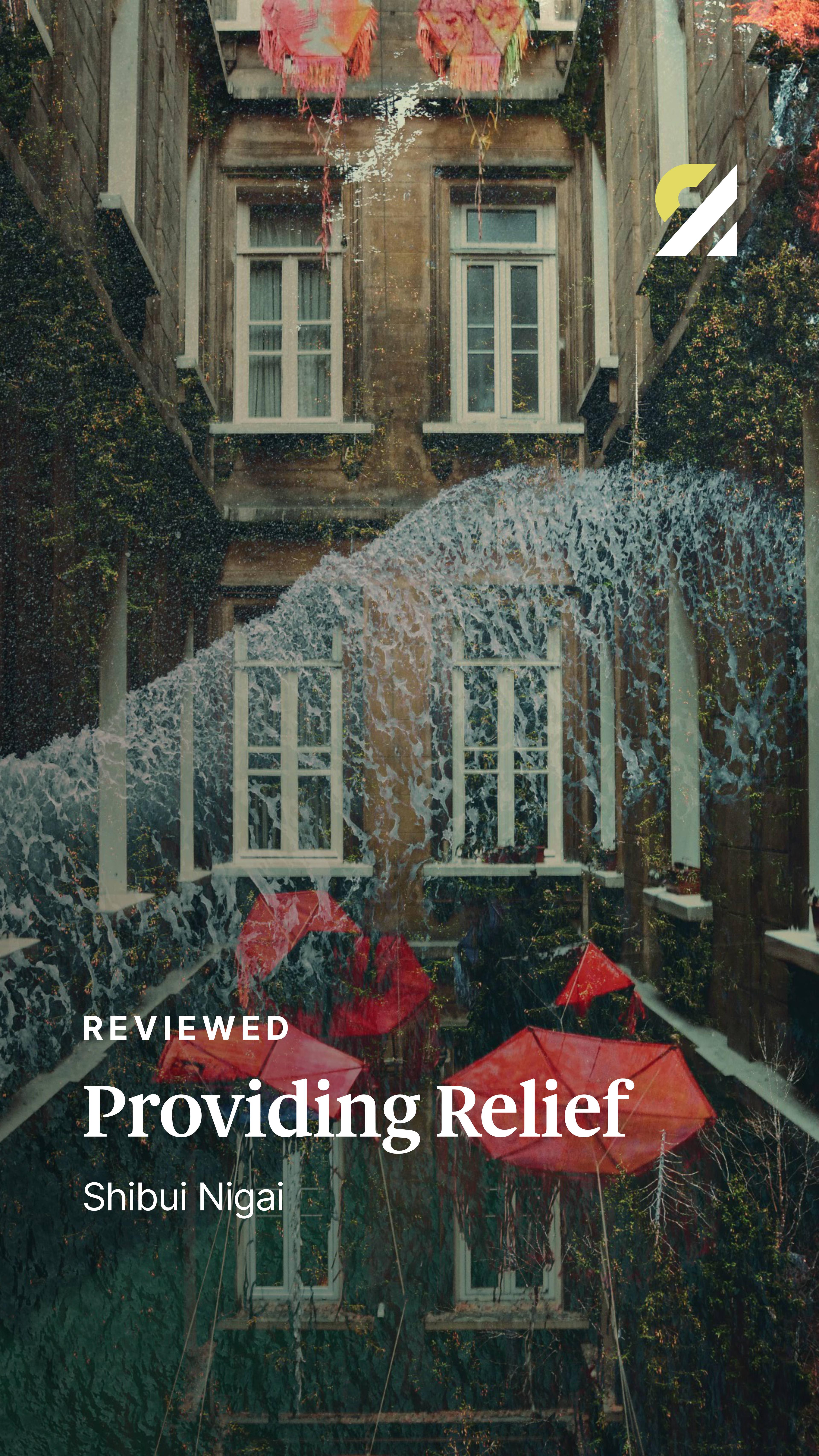 A social media post for Redistribute Magazine. Shows an image of the EP artwork for Shibui Nigai's "Providing Relief", with the following text overlayed: "Reviewed: Providing Relief, Shibui Nigai".