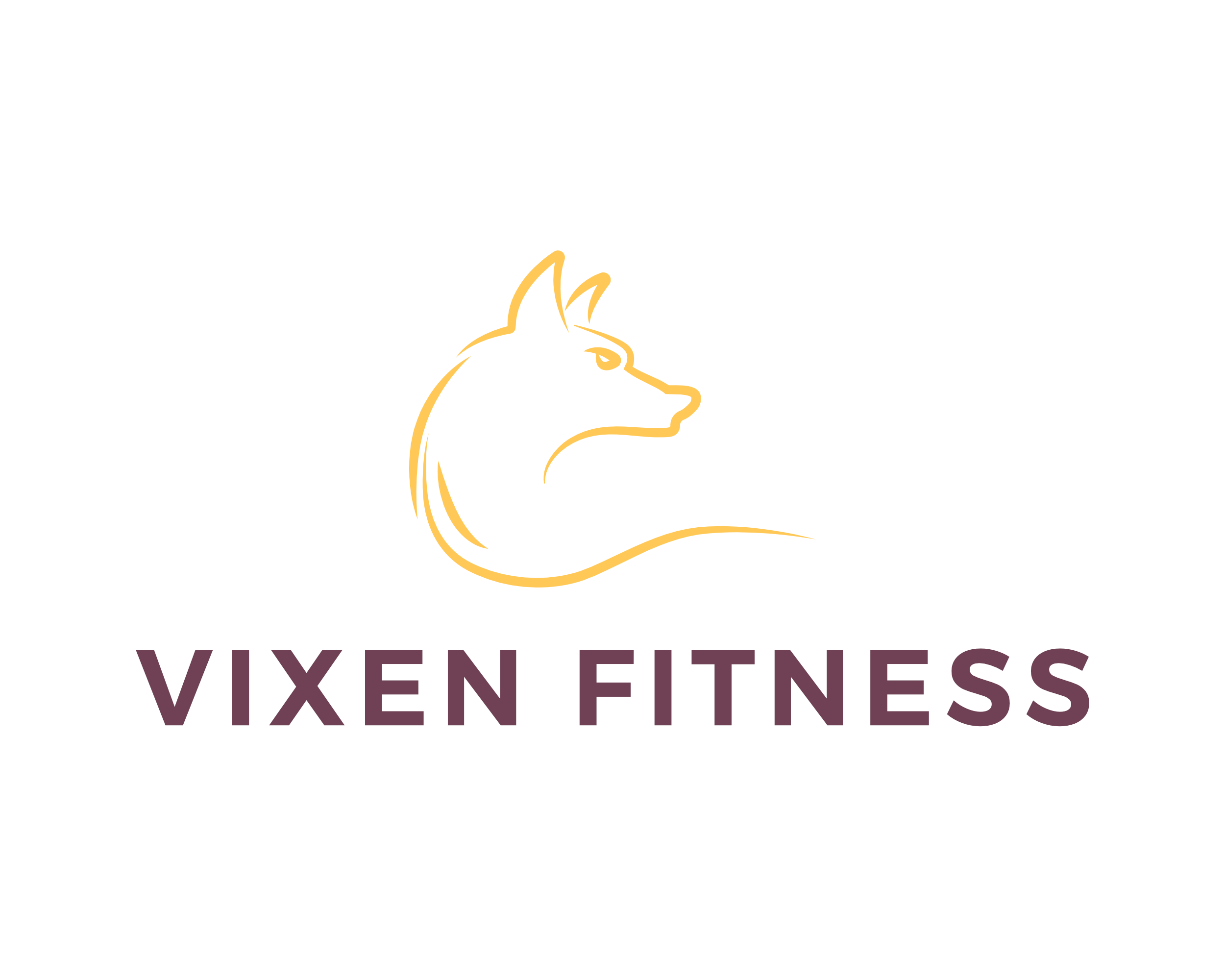 The Vixen Fitness logo on a white background